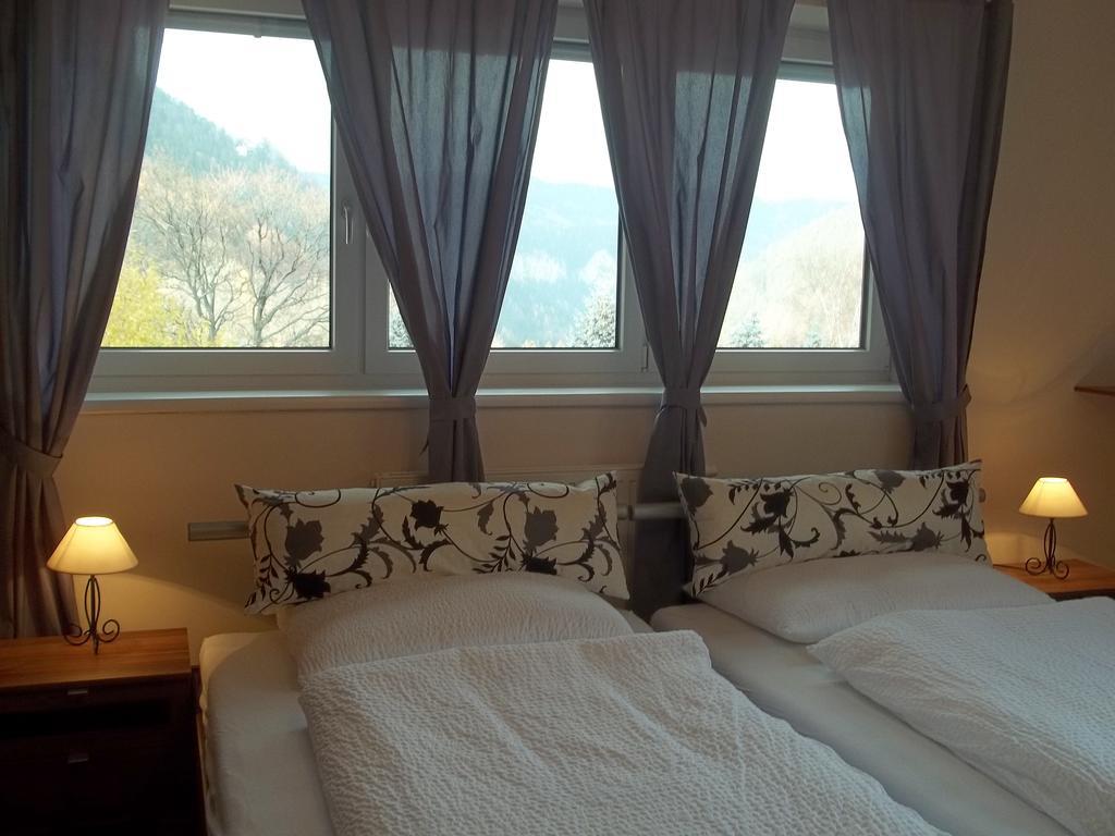 Villa Wellspacher 젬머링 객실 사진